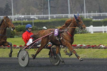 Actualités Hippiques